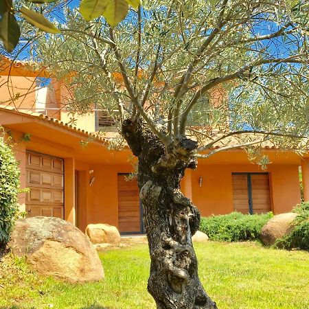 Villa Santa Giulia, Vue Panoramique Sur La Mer, 900 M De La Plage Porto-Vecchio  Bagian luar foto