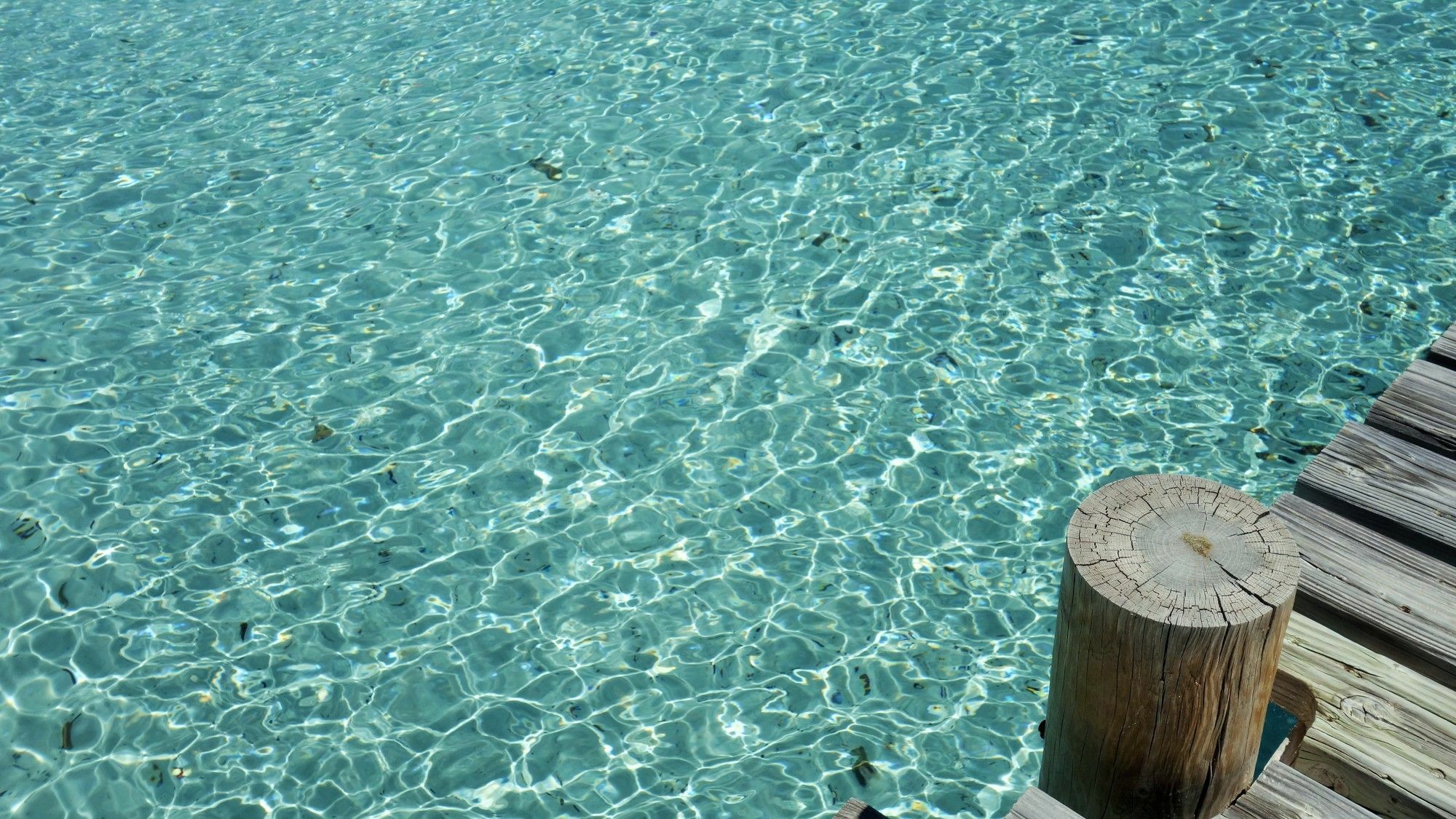 Villa Santa Giulia, Vue Panoramique Sur La Mer, 900 M De La Plage Porto-Vecchio  Bagian luar foto